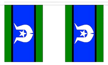 Load image into Gallery viewer, Flag Bunting