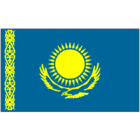 Load image into Gallery viewer, Pre-loved Country Flags