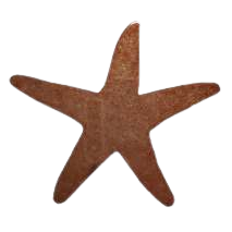 Load image into Gallery viewer, Magnets