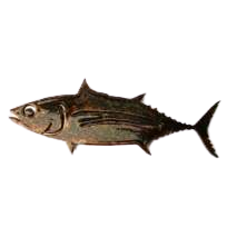 Load image into Gallery viewer, Magnets