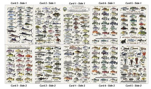 Fish ID Cards - Tackle box collection