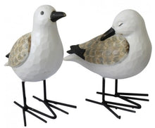 Load image into Gallery viewer, Seagulls