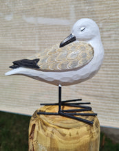 Load image into Gallery viewer, Seagulls