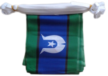 Load image into Gallery viewer, Flag Bunting