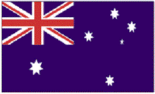 Load image into Gallery viewer, Military Parade Flags for vehicles (made to order)
