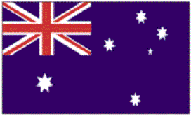 Military Parade Flags for vehicles (made to order)