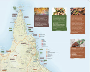Australian Indigenous Journeys