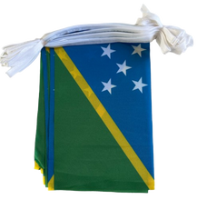 Load image into Gallery viewer, Flag Bunting

