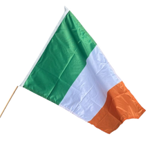 Load image into Gallery viewer, Game Day Flags
