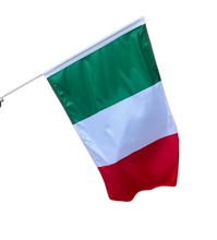 Load image into Gallery viewer, Game Day Flags
