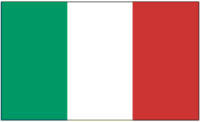 Load image into Gallery viewer, Game Day Flags
