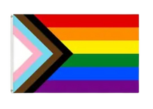 Load image into Gallery viewer, Assorted - Novelty - Pirate - Pride - Birthday flags
