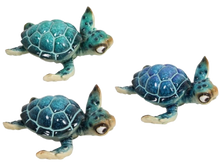 Load image into Gallery viewer, Turtle Pottery
