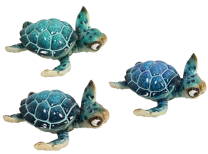 Turtle Pottery