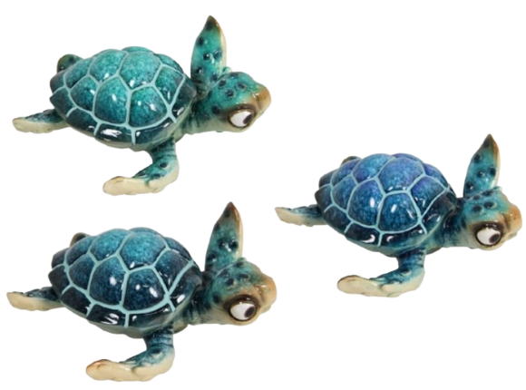 Turtle Pottery