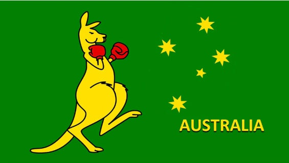 Novelty Flags