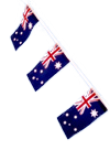 Load image into Gallery viewer, Flag Bunting
