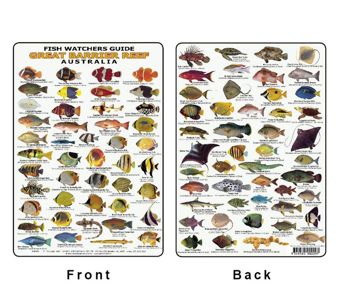 Fish ID Card - Divers Guide