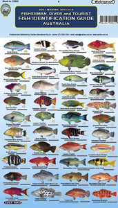 Fish ID Cards - Australia and Great Barrier Reef