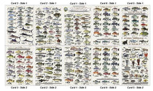 Load image into Gallery viewer, Fish ID Cards - Tackle box collection
