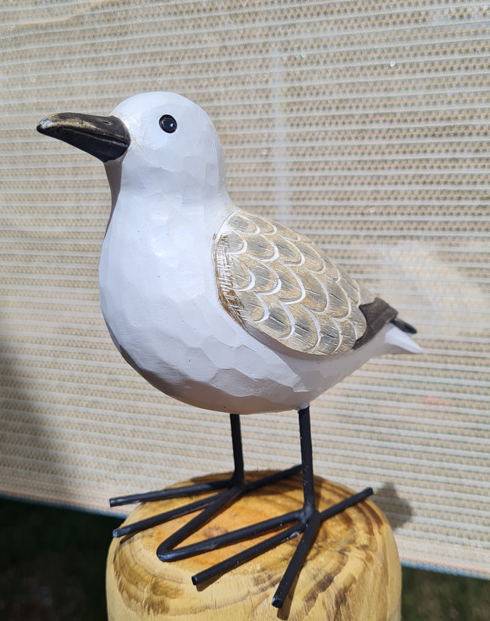 Seagulls