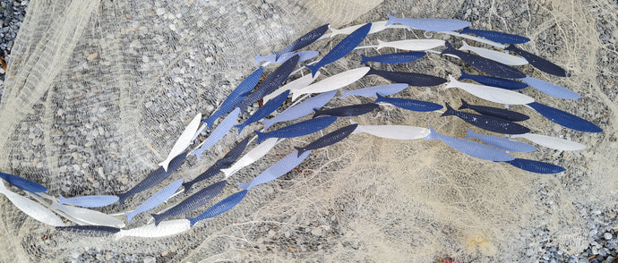 Trail of Fish