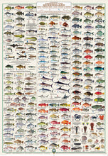 Load image into Gallery viewer, Fish ID Posters
