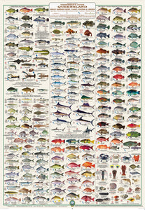 Fish ID Posters