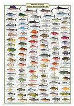 Load image into Gallery viewer, Fish ID Posters
