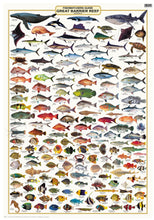 Load image into Gallery viewer, Fish ID Posters

