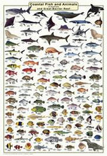Load image into Gallery viewer, Fish ID Posters
