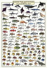 Fish ID Posters